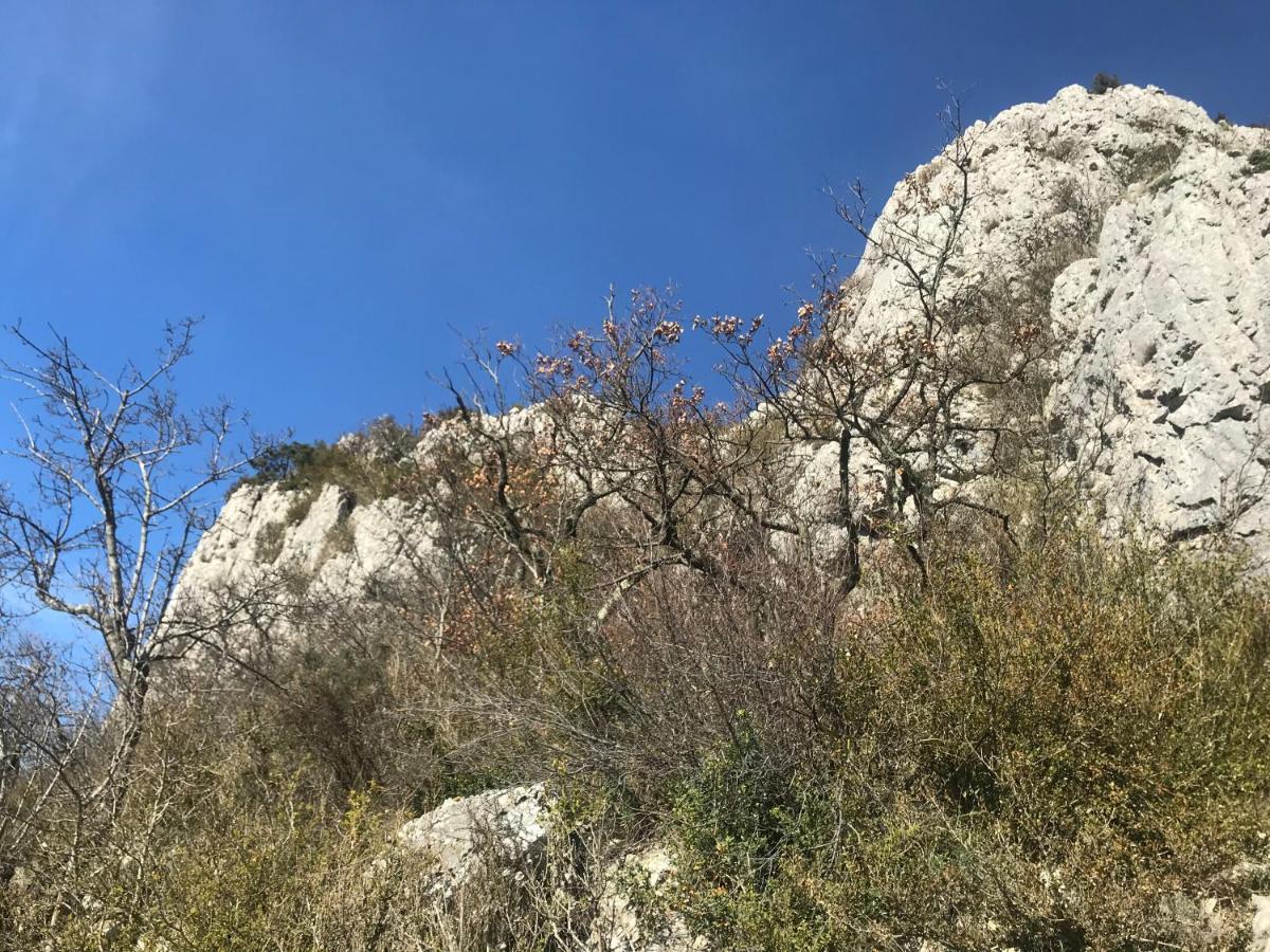 Chambre En Ardeche Du Sud Saint-Remeze Zewnętrze zdjęcie